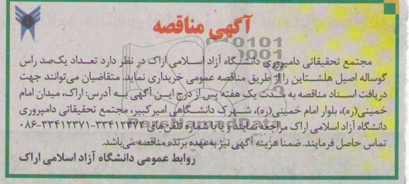 تعداد یکصد راس گوساله اصیل هلشتاین 