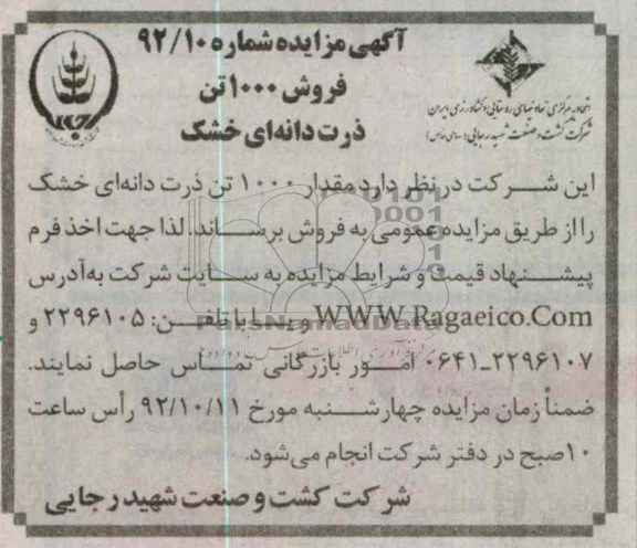فروش 1000 تن ذرت دانه ای خشک 