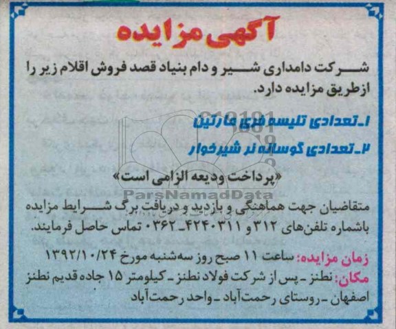 فروش تلیسه فری مارتین و گوساله نر شیرخوار 