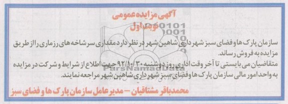 فروش مقدار سرشاخه های رزماری