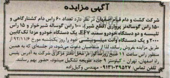 فروش تعداد 60 راس دام کشتارگاهی 