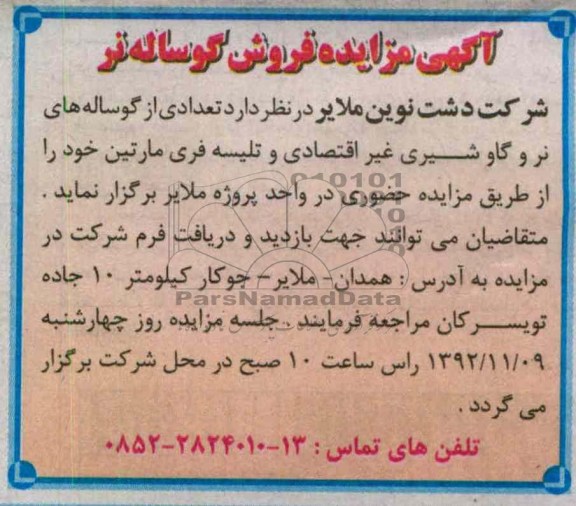 فروش تعدادی از گوساله های نر و....
