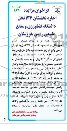 اجاره نخلستان 136 نخل