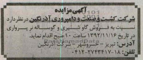 فروش گاو شیری و...