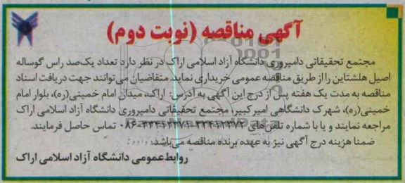 تعداد یکصد راس گوساله اصیل هلشتاین 