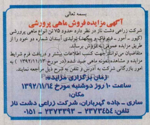 فروش ماهی پرورشی 