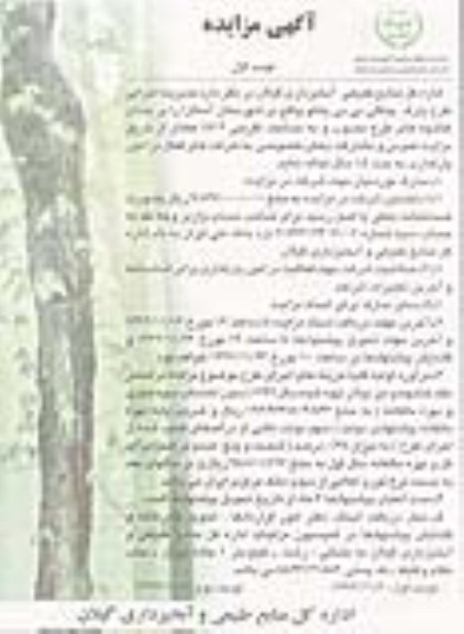 احاله مدیریت اجرایی طرح پارک جنگلی بی بی یانلو 