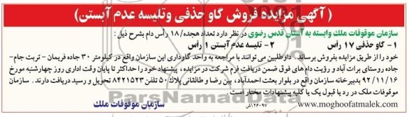 فروش گاو حذفی و تلیسه عدم آبستن