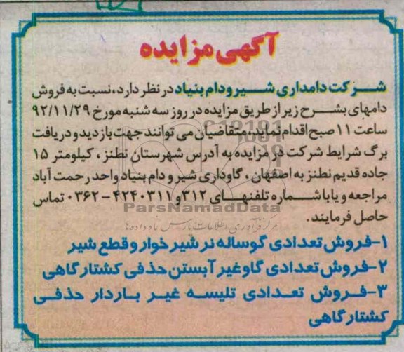 فروش تعدادی گوساله نر و ...