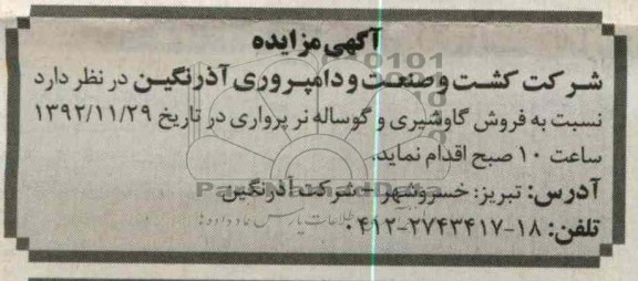  فروش گاو شیری و...