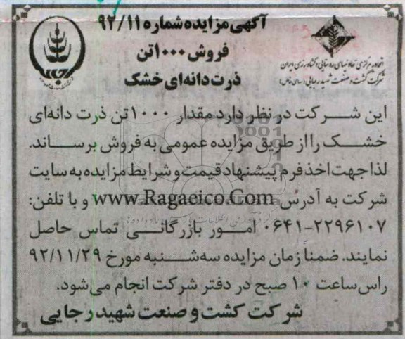 فروش 1000 تن ذرت دانه ای خشک
