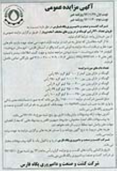 فروش تعداد 640 راس گوساله نر 