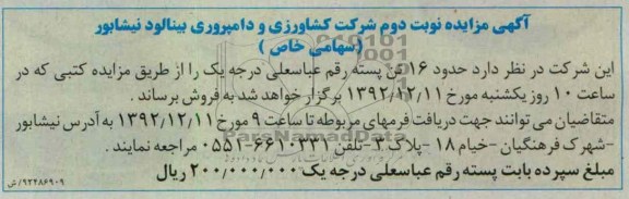 فروش حدود 16 تن پسته رقم عباسعلی درجه یک 