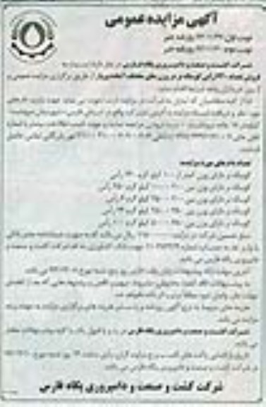 فروش تعداد 640 راس گوساله نر 