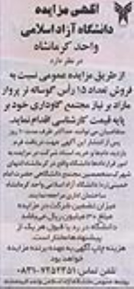 فروش تعداد 15 راس گوساله نر پروار مازاد