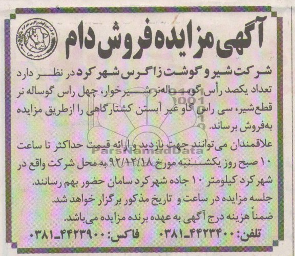 مزایده تعداد یکصد راس گوساله نر شیر خوار 