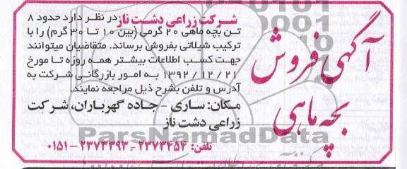 فروش حدود 8 تن بچه ماهی 20 گرمی 