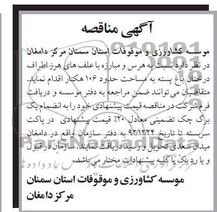 هرس و مبارزه با علف های هرز اطراف درختان باغ پسته 