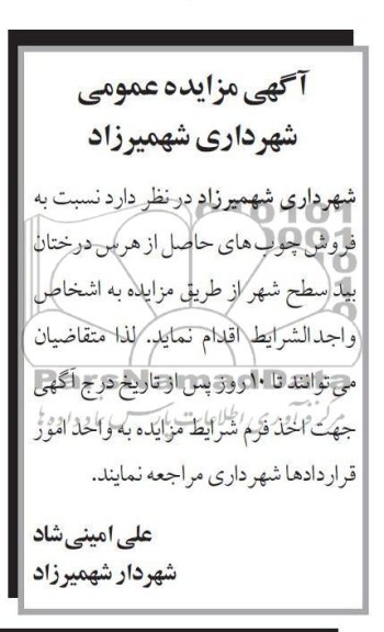 فروش چوب های حاصل از هرس درختان بید سطح شهر