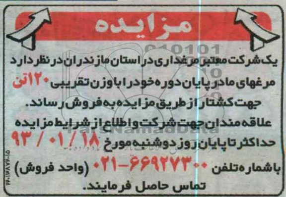 فروش مرغهای مادر