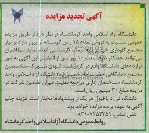 فروش تعداد 15 راس گوساله نر پروار مازاد بر نیاز