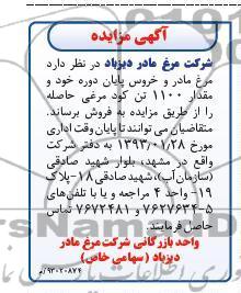 فروش مرغ مادر و خروس پایان دوره 