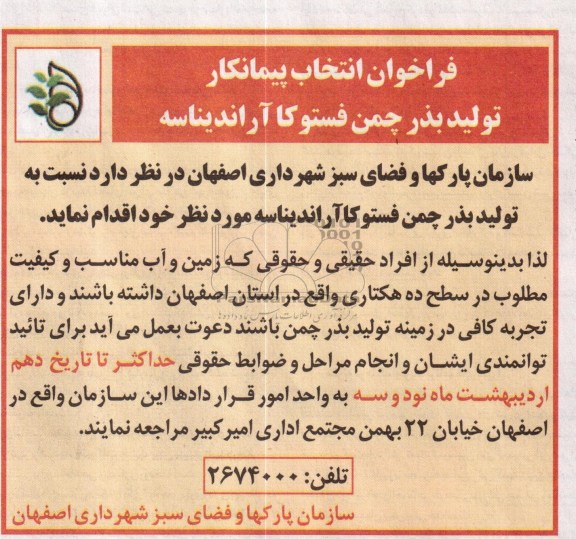 تولید بذر چمن فستوکاآراندیناسه 
