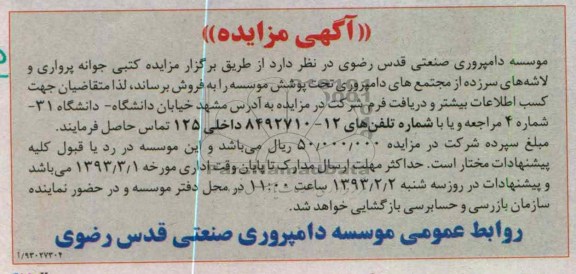 فروش جوانه پرواری و ...