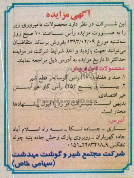 فروش گوساله 
