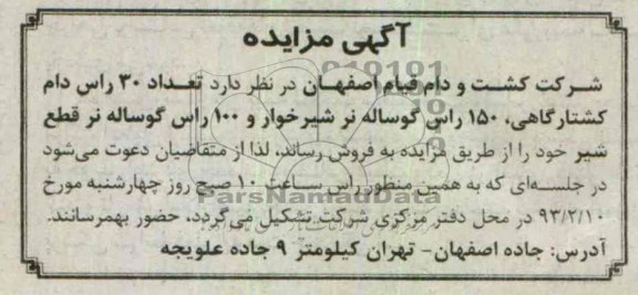 فروش تعداد 30 راس دام کشتارگاهی، ...