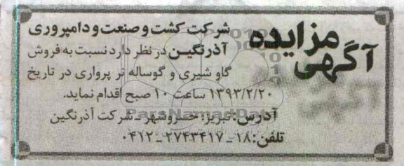 فروش گاو شیری و...