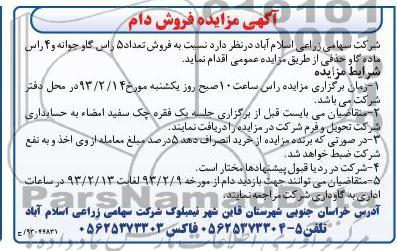 فروش تعداد 5 راس گاو جوانه و 4 راس ماده گاو حذفی 
