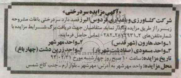 مزایده سردرختی