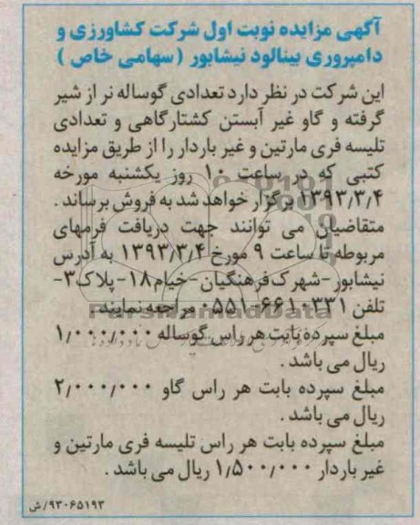 فروش تعدادی گوساله نر از شیر گرفته و تعدادی تلیسه فری مارتین و غیر باردار .....