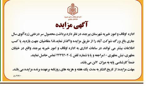 برداشت محصول سردرختی زردآلوی 