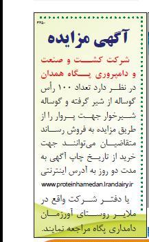 فروش تعداد 100 راس گوساله