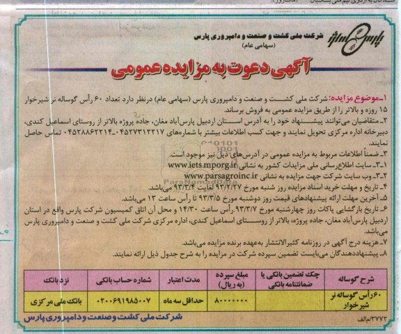 فروش گوساله نر 