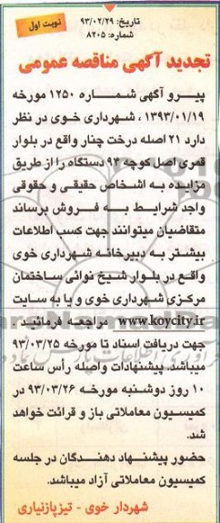 فروش 21 اصله درخت چنار