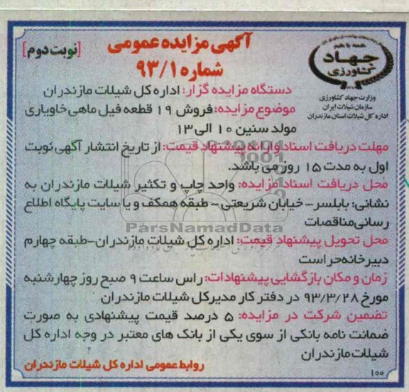 فروش 19 قطعه فیل ماهی 