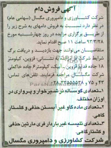 فروش دام