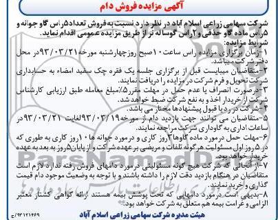 فروش گاو جوانه و ماده گاو و گوساله