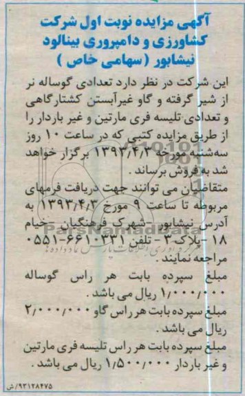 آگهی مزایده , فروش تعدادی گوساله نر از شیر گرفته و تعدادی تلیسه فری مارتین و غیر باردار .....