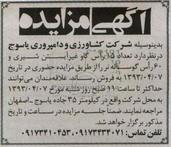 اگهی مزایده,فروش دام