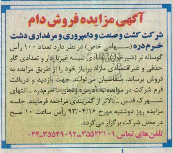 آگهی مزایده , فروش تعداد 100 راس گوساله نر (شیرخوار) ، تعدادی تلیسه غیرباردار و تعدادی گاو حذفی و غیر اقتصادی 