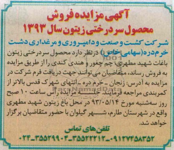 آگهی مزایده , مزایده فروش محصول سردرختی زیتون 