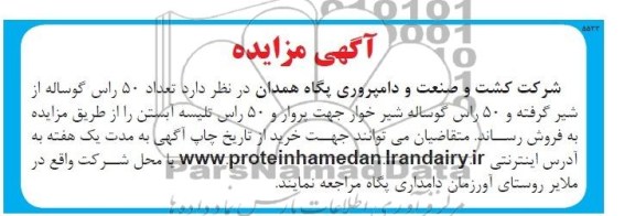 آگهی مزایده,مزایده تعداد 50 راس گوساله