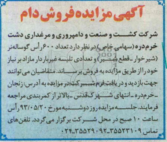 آگهی مزایده,مزایده تعداد 600 راس گوساله نر