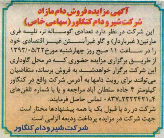 آگهی مزایده, مزایده  تعدادی  گوساله نر، تلیسه فری غیرباردار و گاو غیرآبستن غیراقتصادی 