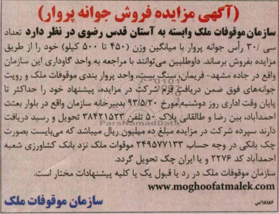 مزایده , مزایده فروش جوانه پرواز