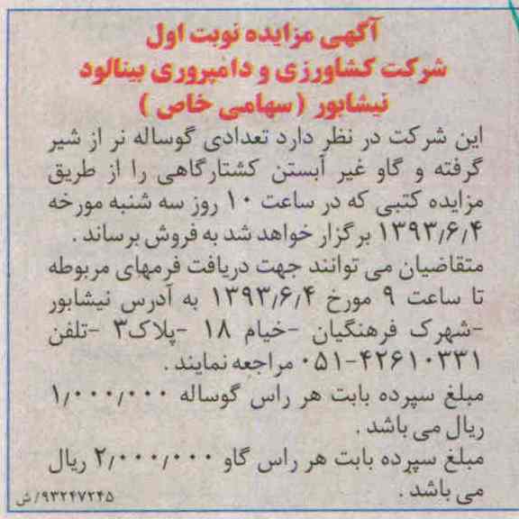 اگهی مزایده,مزایده فروش تعدادی گوساله نر